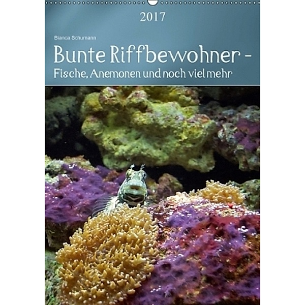 Bunte Riffbewohner - Fische, Anemonen und noch viel mehr (Wandkalender 2017 DIN A2 hoch), Bianca Schumann