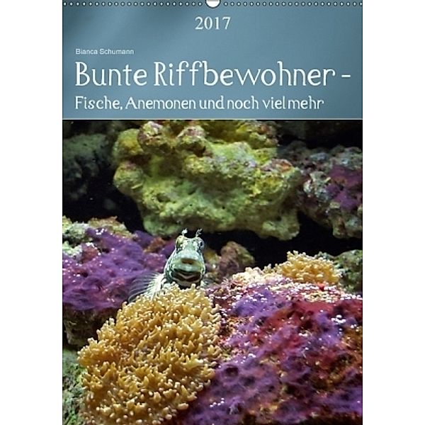 Bunte Riffbewohner - Fische, Anemonen und noch viel mehr (Wandkalender 2017 DIN A2 hoch), Bianca Schumann