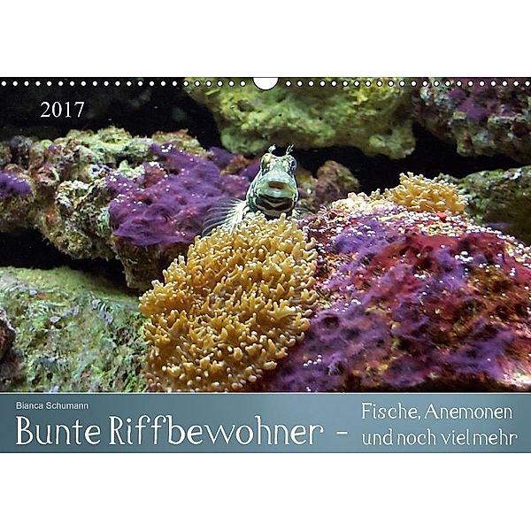 Bunte Riffbewohner - Fische, Anemonen und noch viel mehr (Wandkalender 2017 DIN A3 quer), Bianca Schumann