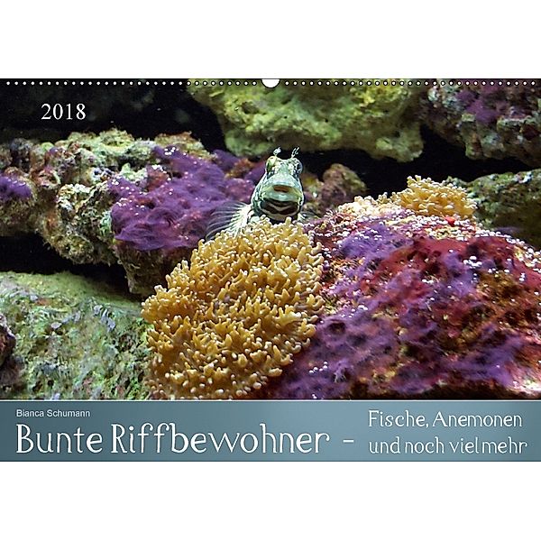 Bunte Riffbewohner - Fische, Anemonen und noch viel mehr (Wandkalender 2018 DIN A2 quer), Bianca Schumann