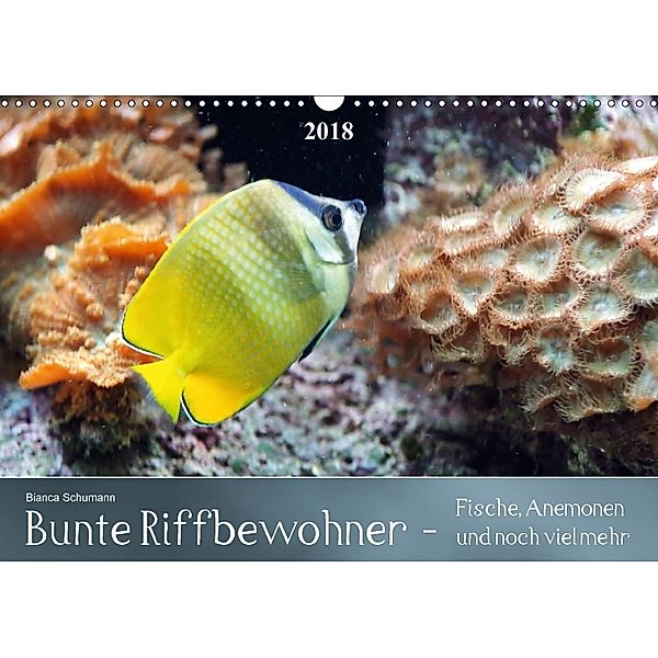 Bunte Riffbewohner - Fische, Anemonen und noch viel mehrCH-Version (Wandkalender 2018 DIN A3 quer), Bianca Schumann