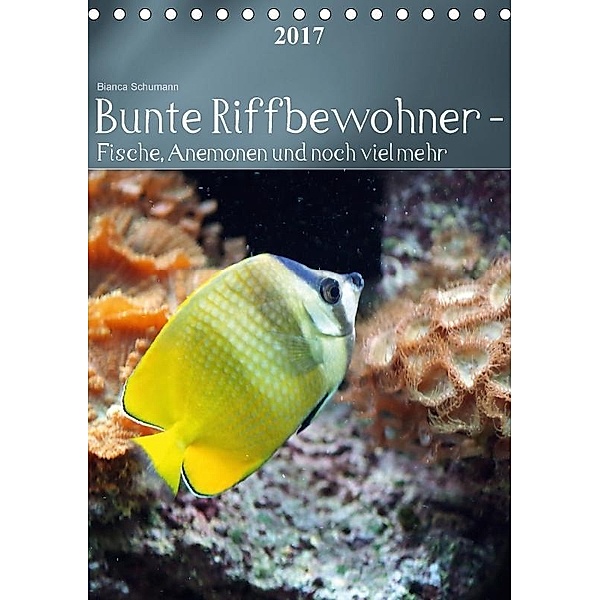 Bunte Riffbewohner - Fische, Anemonen und noch viel mehrCH-Version (Tischkalender 2017 DIN A5 hoch), Bianca Schumann
