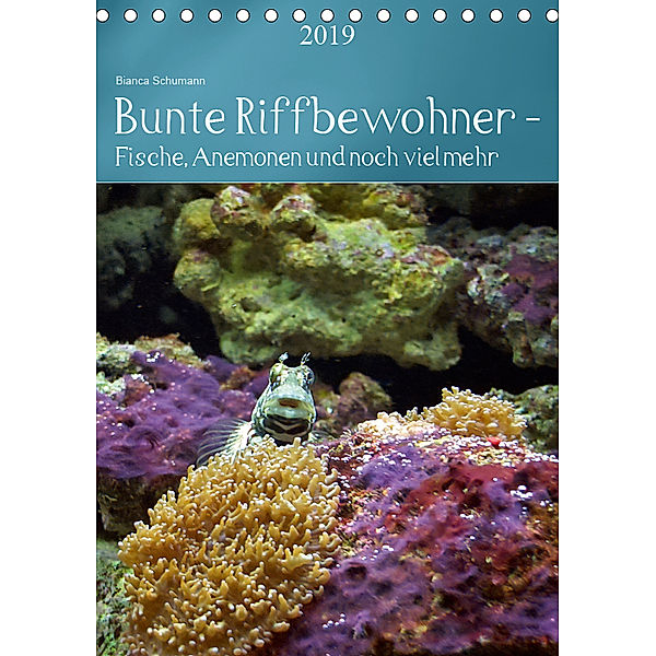 Bunte Riffbewohner - Fische, Anemonen und noch viel mehr (Tischkalender 2019 DIN A5 hoch), Bianca Schumann