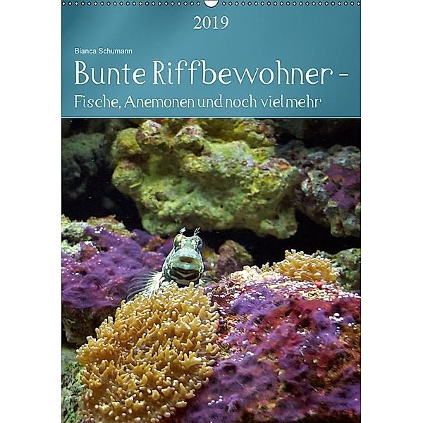 Bunte Riffbewohner - Fische, Anemonen und noch viel mehr (Wandkalender 2019 DIN A2 hoch), Bianca Schumann