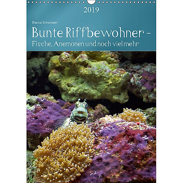 Bunte Riffbewohner - Fische, Anemonen und noch viel mehr (Wandkalender 2019 DIN A3 hoch), Bianca Schumann