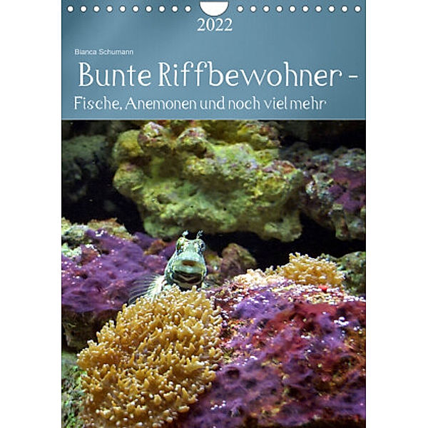 Bunte Riffbewohner - Fische, Anemonen und noch viel mehr (Wandkalender 2022 DIN A4 hoch), Bianca Schumann