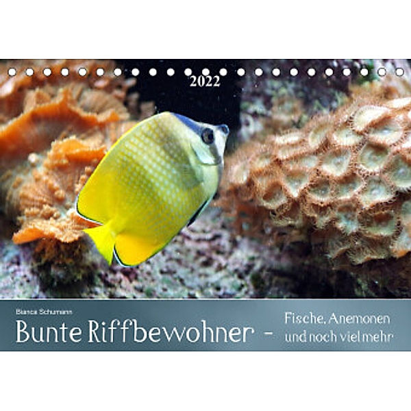 Bunte Riffbewohner - Fische, Anemonen und noch viel mehrCH-Version  (Tischkalender 2022 DIN A5 quer), Bianca Schumann