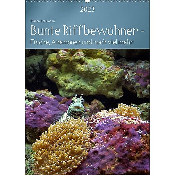 Bunte Riffbewohner - Fische, Anemonen und noch viel mehr (Wandkalender 2023 DIN A2 hoch), Bianca Schumann