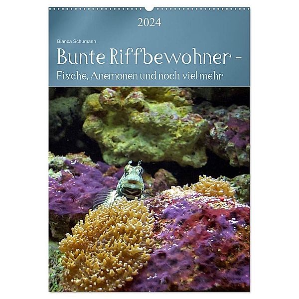 Bunte Riffbewohner - Fische, Anemonen und noch viel mehr (Wandkalender 2024 DIN A2 hoch), CALVENDO Monatskalender, Bianca Schumann