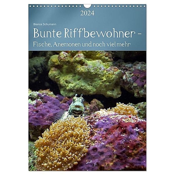 Bunte Riffbewohner - Fische, Anemonen und noch viel mehr (Wandkalender 2024 DIN A3 hoch), CALVENDO Monatskalender, Bianca Schumann