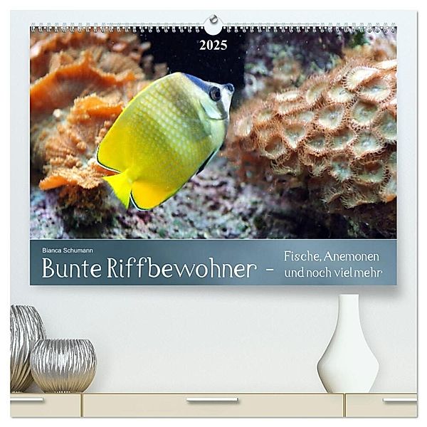 Bunte Riffbewohner - Fische, Anemonen und noch viel mehr (hochwertiger Premium Wandkalender 2025 DIN A2 quer), Kunstdruck in Hochglanz, Calvendo, Bianca Schumann