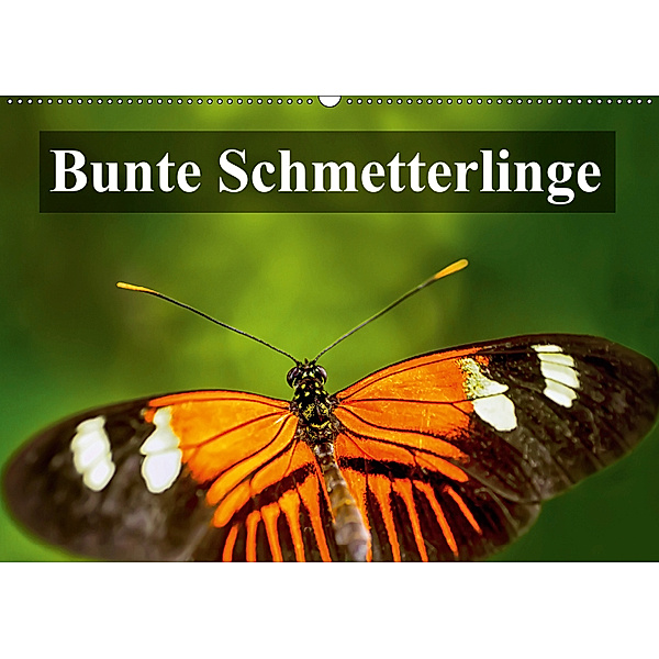Bunte Schmetterlinge (Wandkalender 2019 DIN A2 quer), Gabriela Wernicke-Marfo