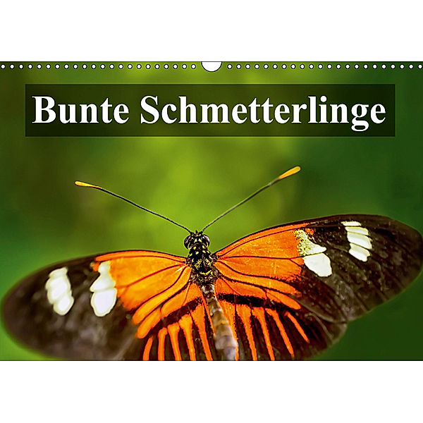 Bunte Schmetterlinge (Wandkalender 2019 DIN A3 quer), Gabriela Wernicke-Marfo