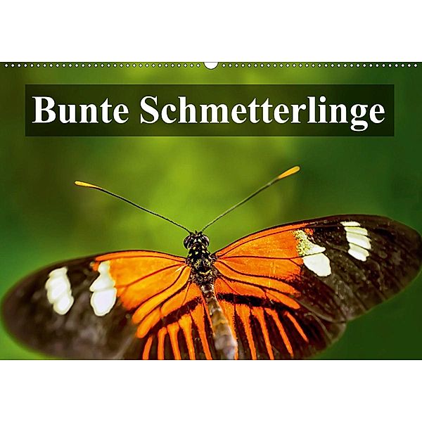 Bunte Schmetterlinge (Wandkalender 2021 DIN A2 quer), Gabriela Wernicke-Marfo, Photoga Photography