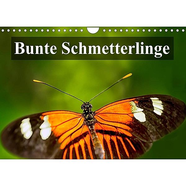 Bunte Schmetterlinge (Wandkalender 2023 DIN A4 quer), Gabriela Wernicke-Marfo, Photoga Photography