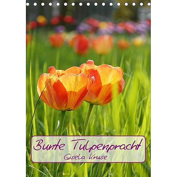 Bunte Tulpenpracht (Tischkalender 2021 DIN A5 hoch), Gisela Kruse