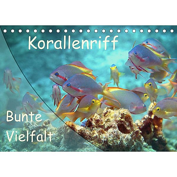Bunte Vielfalt im Korallenriff (Tischkalender 2023 DIN A5 quer), Ute Niemann