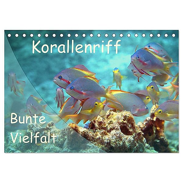 Bunte Vielfalt im Korallenriff (Tischkalender 2024 DIN A5 quer), CALVENDO Monatskalender, Ute Niemann