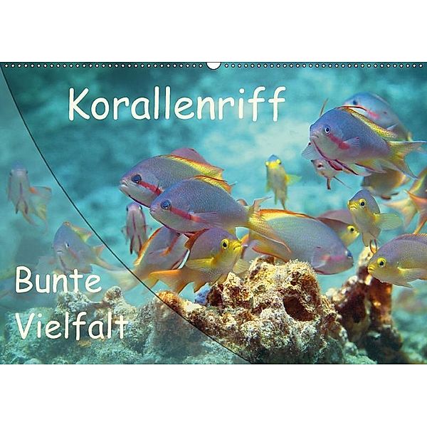 Bunte Vielfalt im Korallenriff (Wandkalender 2018 DIN A2 quer), Ute Niemann