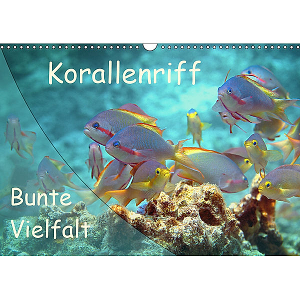 Bunte Vielfalt im Korallenriff (Wandkalender 2019 DIN A3 quer), Ute Niemann