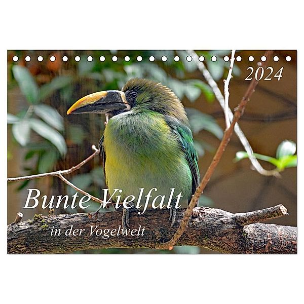 Bunte Vielfalt in der Vogelwelt (Tischkalender 2024 DIN A5 quer), CALVENDO Monatskalender, Claudia Kleemann