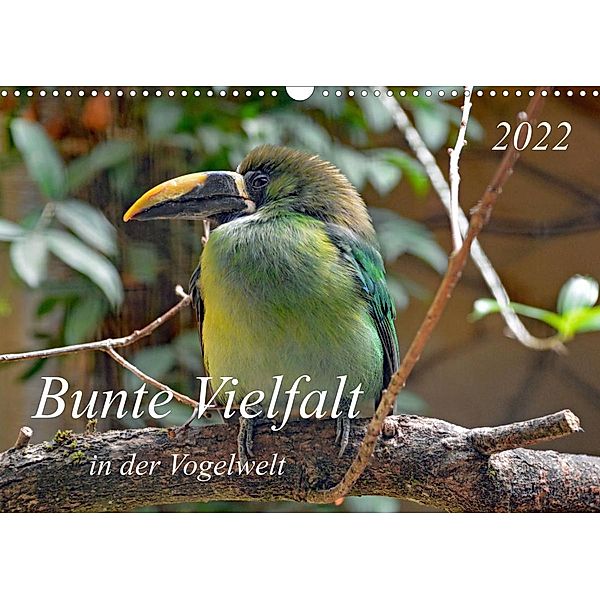 Bunte Vielfalt in der Vogelwelt (Wandkalender 2022 DIN A3 quer), Claudia Kleemann
