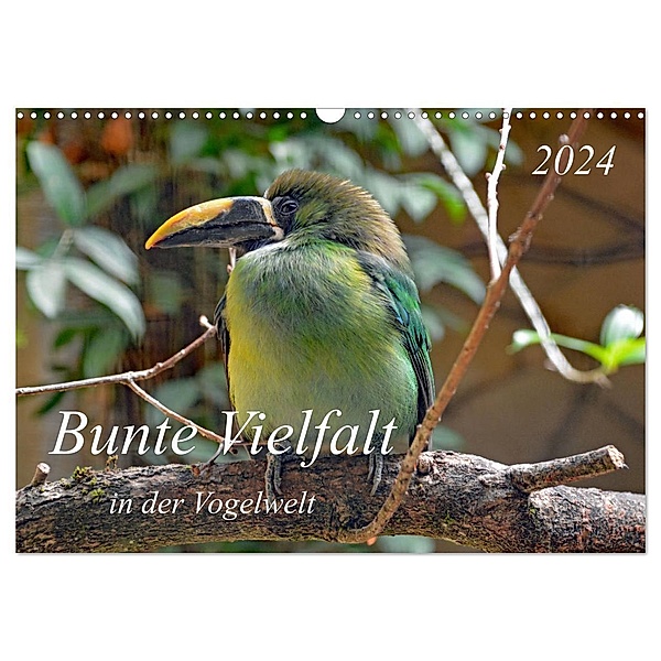 Bunte Vielfalt in der Vogelwelt (Wandkalender 2024 DIN A3 quer), CALVENDO Monatskalender, Claudia Kleemann