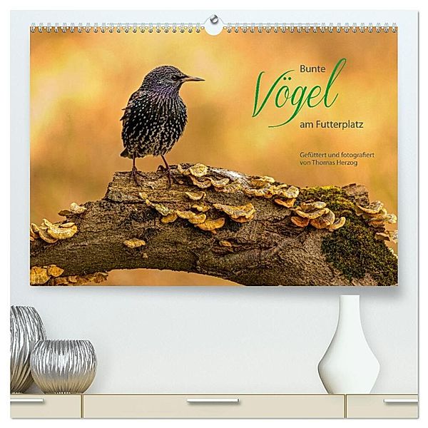 Bunte Vögel am Futterplatz (hochwertiger Premium Wandkalender 2024 DIN A2 quer), Kunstdruck in Hochglanz, Thomas Herzog
