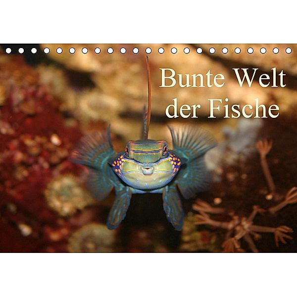 Bunte Welt der Fische (Tischkalender 2021 DIN A5 quer), Barbara Mielewczyk