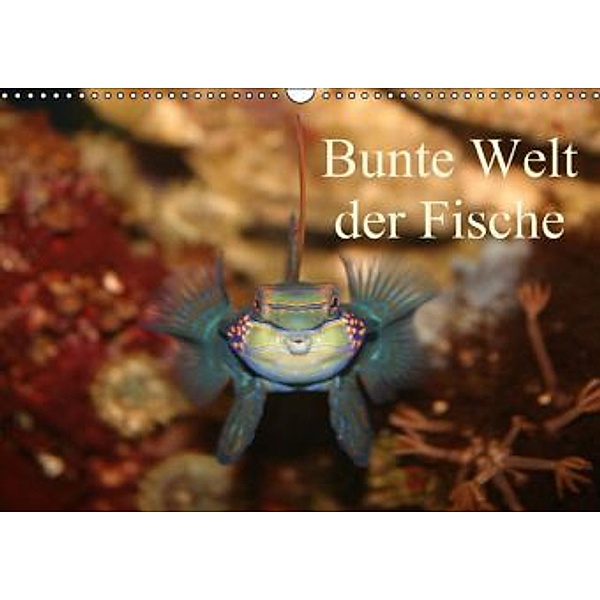 Bunte Welt der Fische (Wandkalender 2015 DIN A3 quer), Barbara Mielewczyk