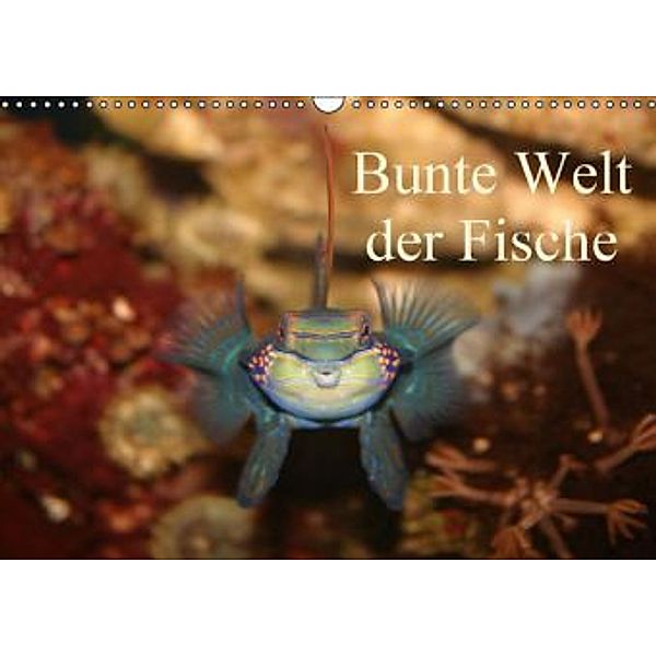 Bunte Welt der Fische (Wandkalender 2016 DIN A3 quer), Barbara Mielewczyk