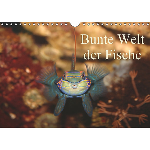 Bunte Welt der Fische (Wandkalender 2019 DIN A4 quer), Barbara Mielewczyk