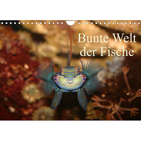 Bunte Welt der Fische (Wandkalender 2022 DIN A4 quer), Barbara Mielewczyk