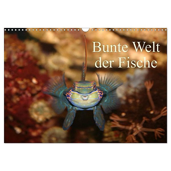 Bunte Welt der Fische (Wandkalender 2024 DIN A3 quer), CALVENDO Monatskalender, Barbara Mielewczyk