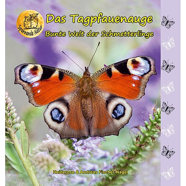 Bunte Welt der Schmetterlinge, das Tagpfauenauge, Heiderose Fischer-Nagel, Andreas Fischer-Nagel