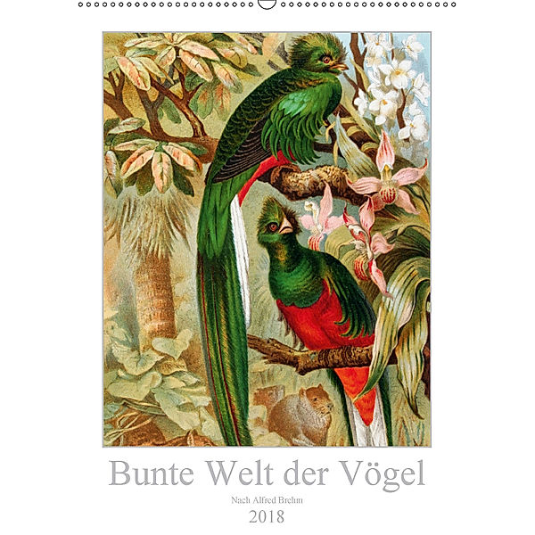 Bunte Welt der Vögel nach Alfred Brehm (Wandkalender 2018 DIN A2 hoch), k. A. Tunabooks/olf