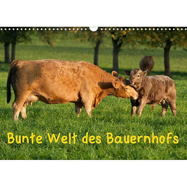 Bunte Welt des Bauernhofs (Wandkalender 2022 DIN A3 quer), Angela Münzel-Hashish - www.tierphotografie.com