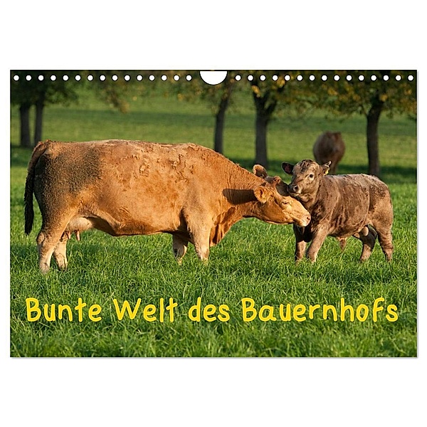 Bunte Welt des Bauernhofs (Wandkalender 2024 DIN A4 quer), CALVENDO Monatskalender, Angela Münzel-Hashish - www.tierphotografie.com