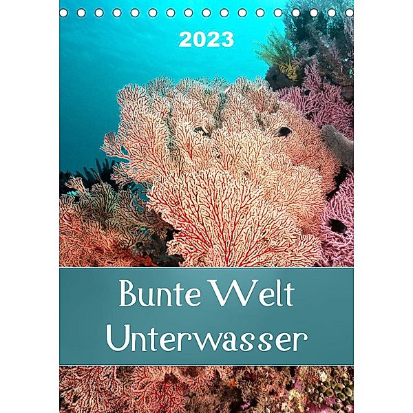 Bunte Welt Unterwasser (Tischkalender 2023 DIN A5 hoch), Bianca Schumann
