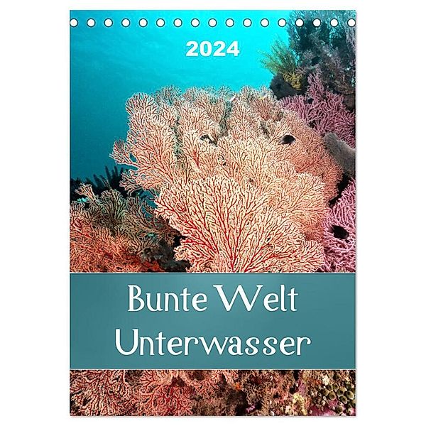 Bunte Welt Unterwasser (Tischkalender 2024 DIN A5 hoch), CALVENDO Monatskalender, Bianca Schumann