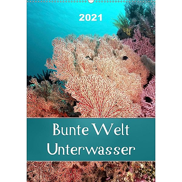 Bunte Welt Unterwasser (Wandkalender 2021 DIN A2 hoch), Bianca Schumann