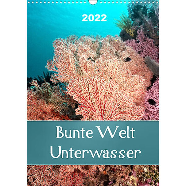 Bunte Welt Unterwasser (Wandkalender 2022 DIN A3 hoch), Bianca Schumann