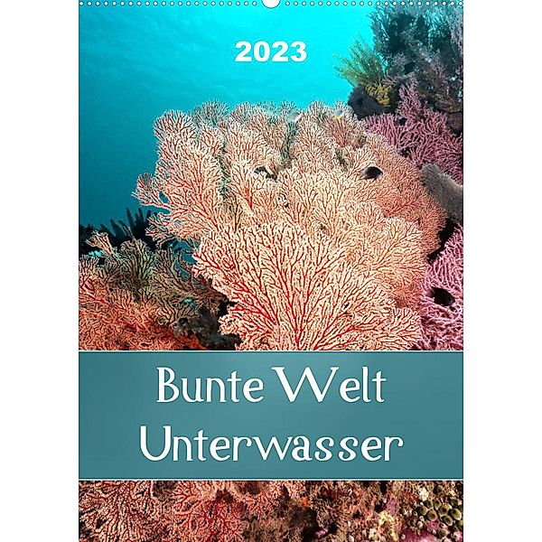 Bunte Welt Unterwasser (Wandkalender 2023 DIN A2 hoch), Bianca Schumann