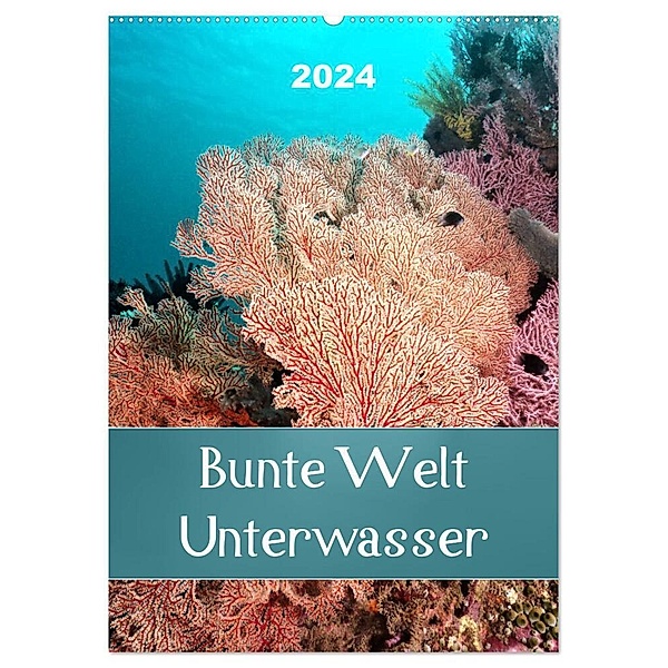 Bunte Welt Unterwasser (Wandkalender 2024 DIN A2 hoch), CALVENDO Monatskalender, Bianca Schumann