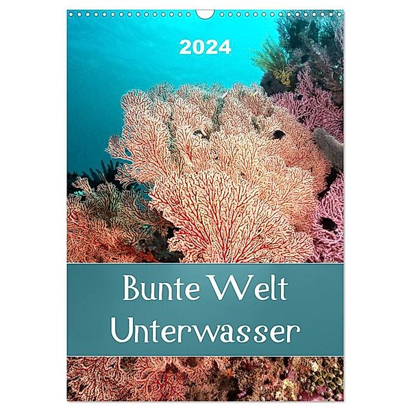 Bunte Welt Unterwasser (Wandkalender 2024 DIN A3 hoch), CALVENDO Monatskalender, Bianca Schumann