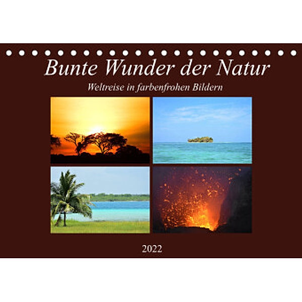 Bunte Wunder der Natur (Tischkalender 2022 DIN A5 quer), Lisa Steil