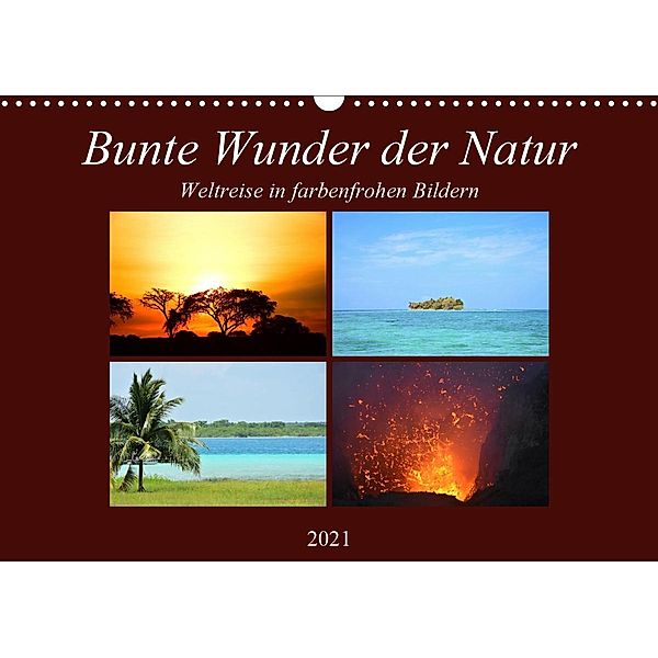 Bunte Wunder der Natur (Wandkalender 2021 DIN A3 quer), Lisa Steil
