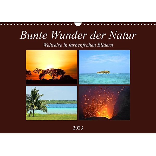 Bunte Wunder der Natur (Wandkalender 2023 DIN A3 quer), Lisa Steil