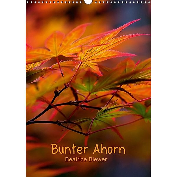 Bunter Ahorn (Wandkalender 2018 DIN A3 hoch), Beatrice Biewer