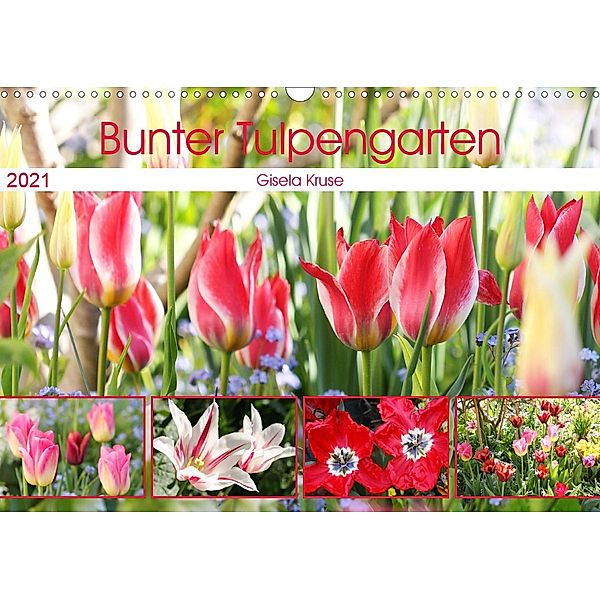 Bunter Tulpengarten (Wandkalender 2021 DIN A3 quer), Gisela Kruse